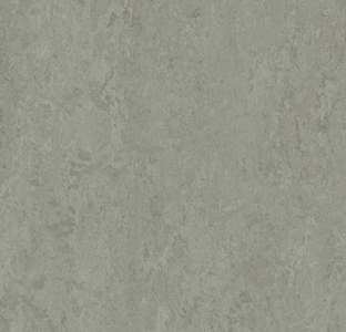 Forbo Marmoleum Modular t3839 cinder
