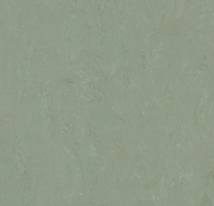 Forbo Marmoleum Modular t3750 pine forest