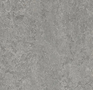 Forbo-Marmoleum-Real-3146-serene-grey