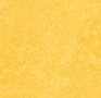 Forbo Marmoleum Fresco 3251 lemon zest