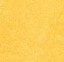 Forbo-Marmoleum-Fresco-3251-lemon-zest