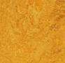 Forbo-Marmoleum-Fresco-3125-golden-sunset