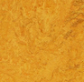 Forbo Marmoleum Fresco 3125 golden sunset