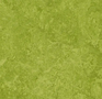 Forbo-Marmoleum-Fresco-3247-green