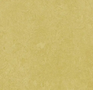 Forbo-Marmoleum-Fresco-3259-mustard