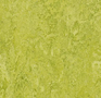 Forbo-Marmoleum-Authentic-3224-chartreuse