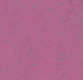 Forbo-Marmoleum-Concrete-3740-purple-glow