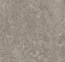 Forbo Marmoleum Modular t3146 serene gray Marble