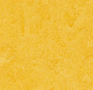 Forbo-Marmoleum-Modular-t3251-lemon-zest-Marble