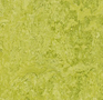 Forbo Marmoleum Decibel 322435 chartreuse