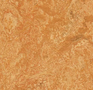 Forbo Marmoleum Camouflage 3174 sahara