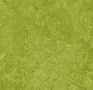 Forbo Marmoleum Camouflage 3247 green