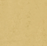 Forbo-Marmoleum-Modular-t3774-corn-silk