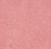 Forbo Marmoleum Real 3268 honey suckle_8