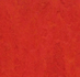 Forbo Marmoleum Fresco 3131 scarlet_8