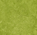 Forbo Marmoleum Fresco 3247 green_8