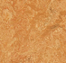 Forbo Marmoleum Camouflage 3174 sahara_8