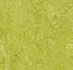 Forbo Marmoleum Camouflage 3224 chartreuse_8