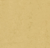 Forbo Marmoleum Modular t3774 corn silk_8